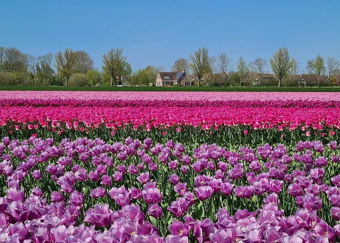 74 Op Recreatiepark De Wielen Дом отдыха Синт-Мартен