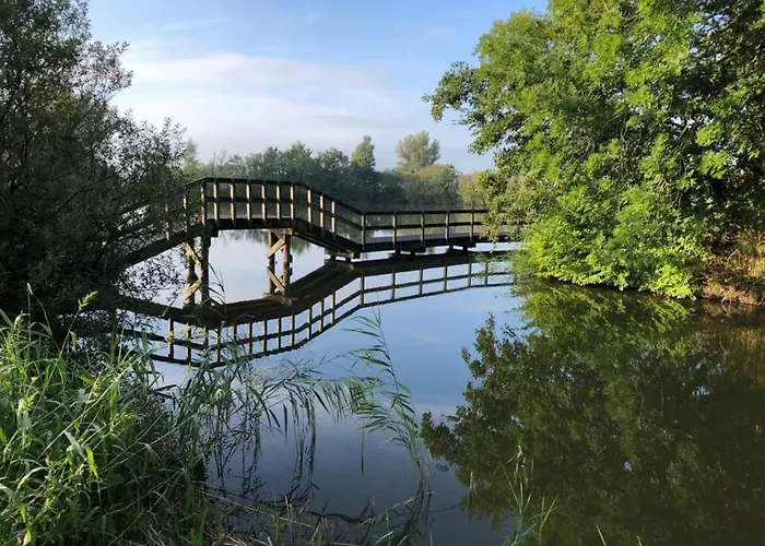 74 Op Recreatiepark De Wielen Дом отдыха *