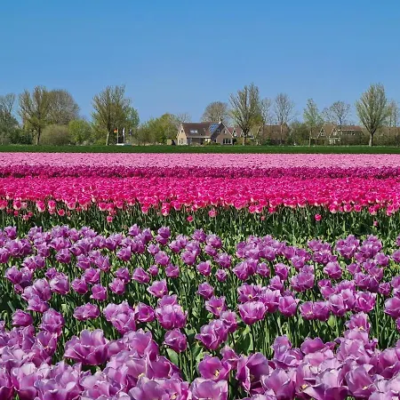 74 Op Recreatiepark De Wielen Дом отдыха Синт-Мартен